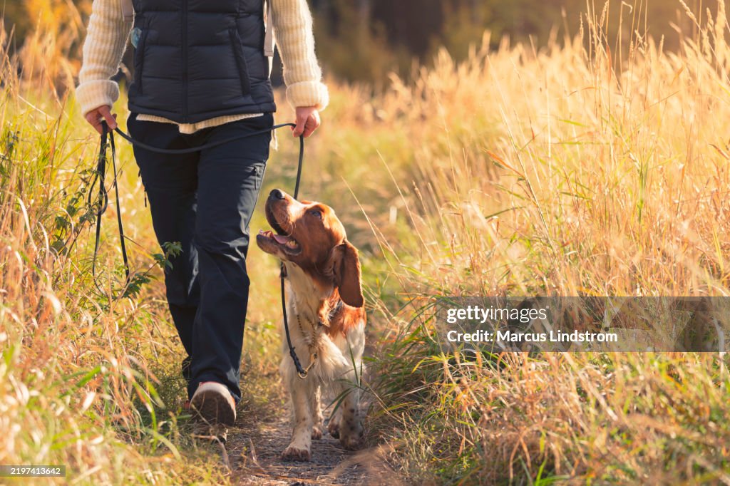 A woman with her dog out walking on a trail in a meadow