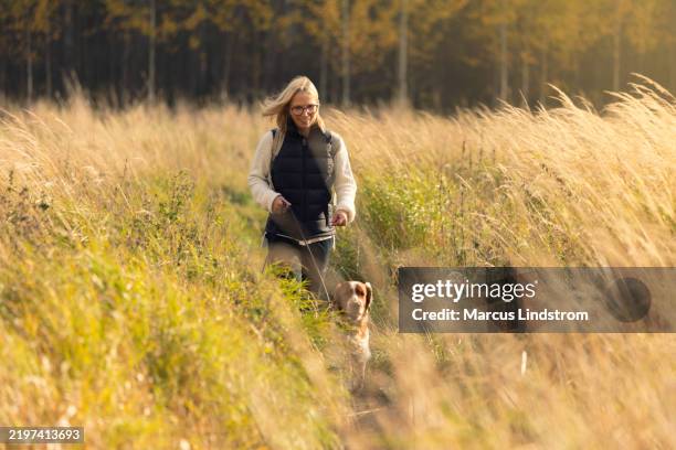 woman with a dog companion out on nature adventures in a meadow - spaniel stock pictures, royalty-free photos & images