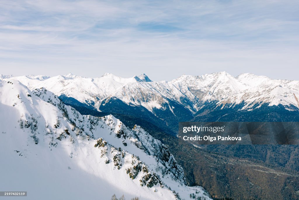 Scenic view of snow covered mountains and fir trees