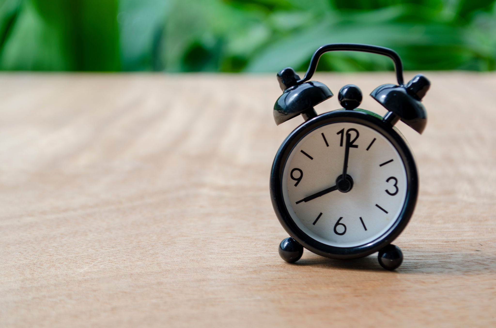 customizable timeline