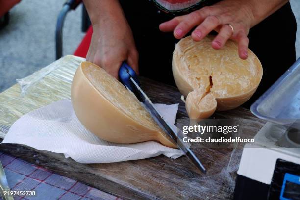 cutting caciocavallo cheese in half - provolone stock-fotos und bilder
