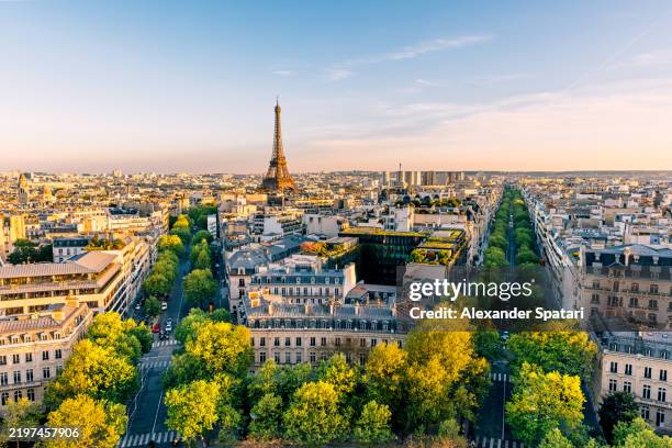 paris cityscape with eiffel tower and green trees on a sunny summer day, high angle view, france - francia fotografías e imágenes de stock