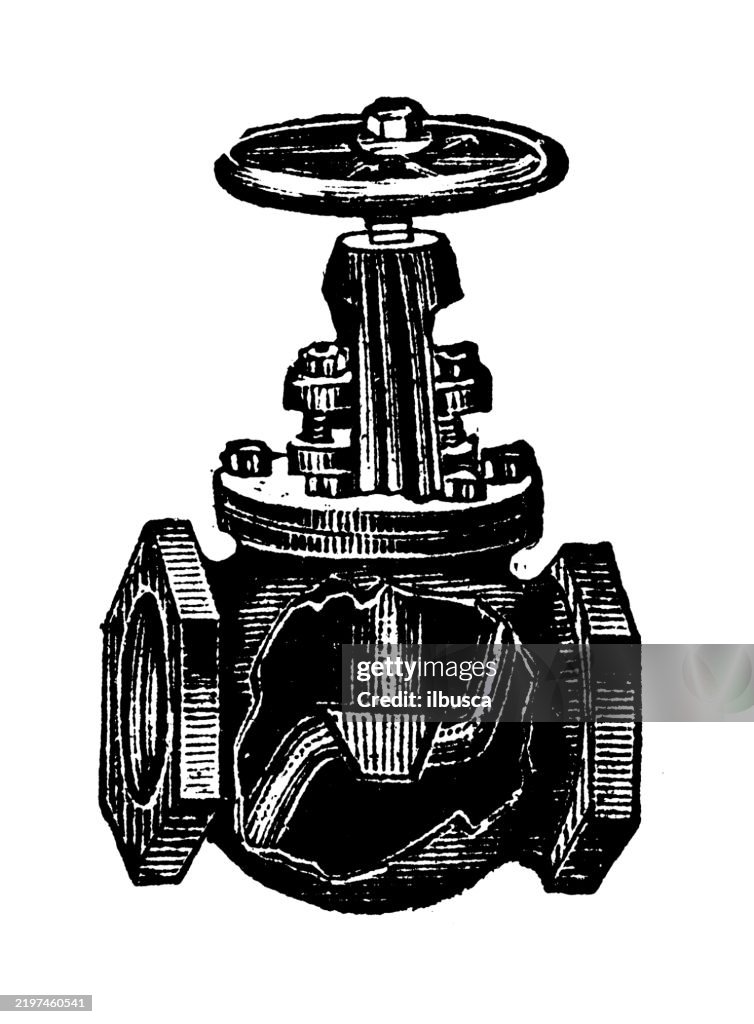Globe Valve with Yoke