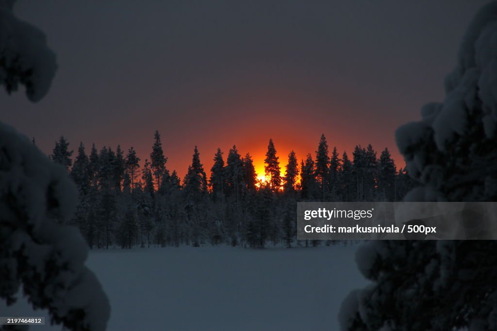 Trees on snow covered landscape against sky during sunset