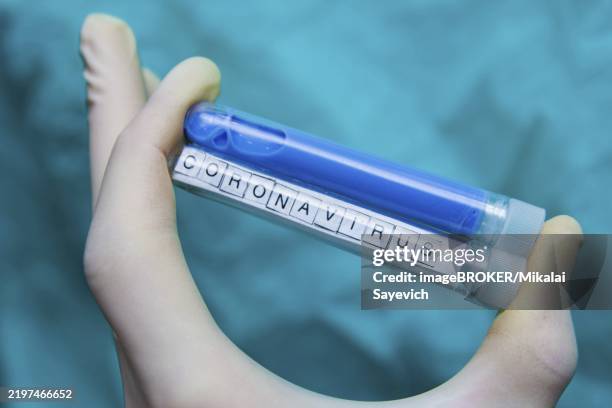 a gloved hand holds a blue coronavirus test tube against a teal background - lateral flow test stock pictures, royalty-free photos & images