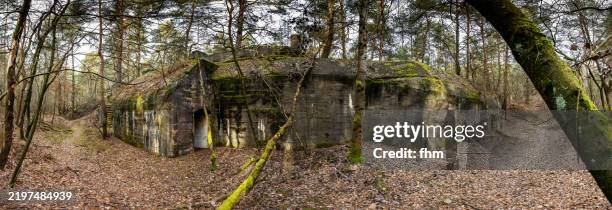 old military bunker in a forest - military bunker stock pictures, royalty-free photos & images