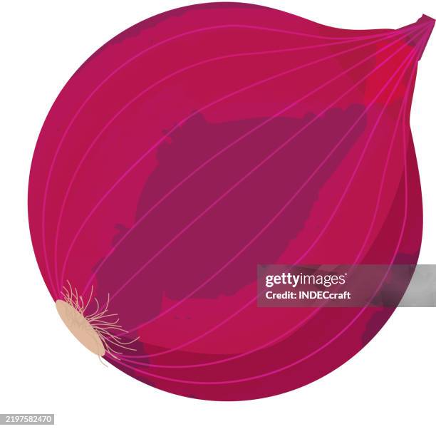 onion - french onion soup stock illustrations