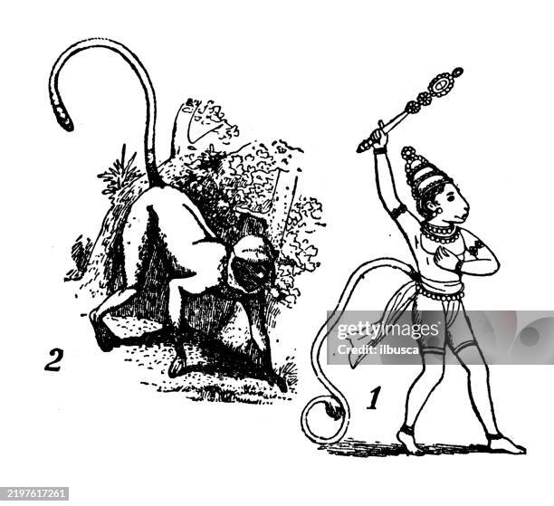 god hanuman, monkey hanuman (semnopithecus entellus) - mask of hanuman stock illustrations