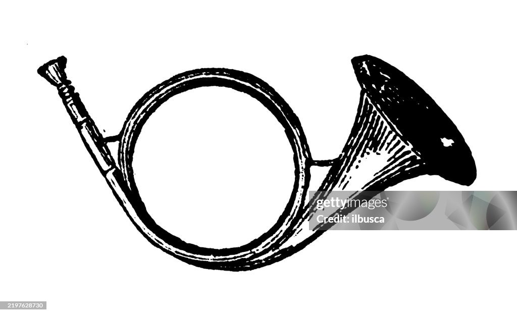 Horns: Horn of English master of foxhounds