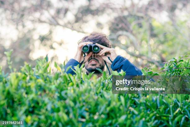 young man spying someone with binoculars behind a hedge - hiding behind bush stock pictures, royalty-free photos & images