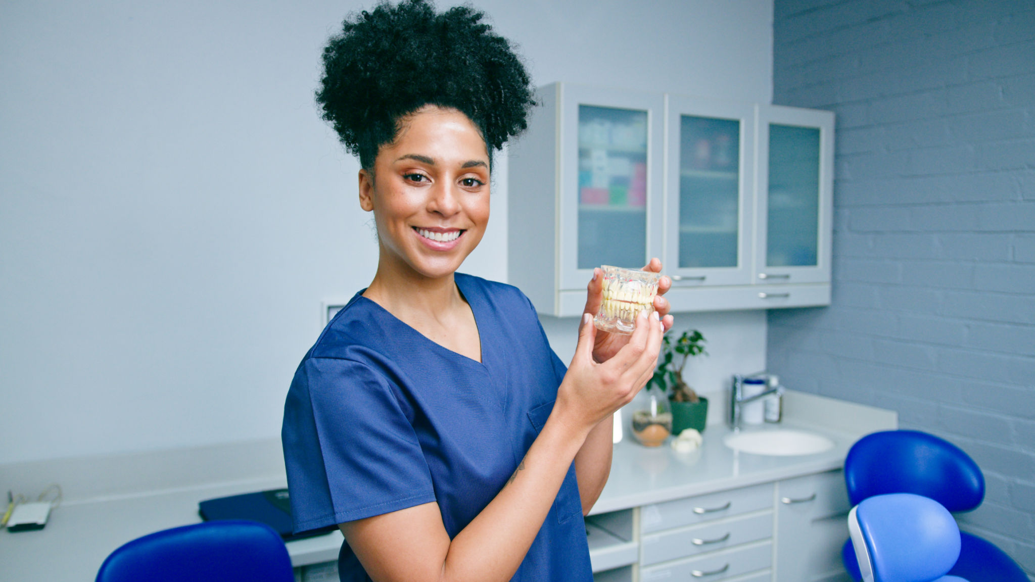 educational dental models