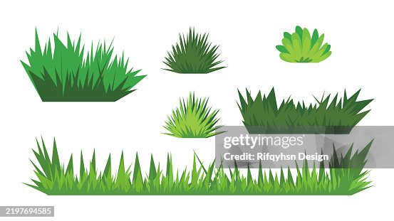 Diseño vectorial de hierba verde. Conjunto de elementos de diseño de la naturaleza. Conjunto plano coloreado, aislado sobre fondo blanco. Diseño vectorial de hierba verde. Conjunto de elementos de diseño de la naturaleza. Conjunto plano coloreado, aislado sobre fondo blanco.