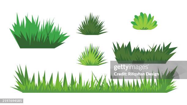 bildbanksillustrationer, clip art samt tecknat material och ikoner med green grass vector design. set of design elements of nature. colored flat set, isolated on white background. - gräs