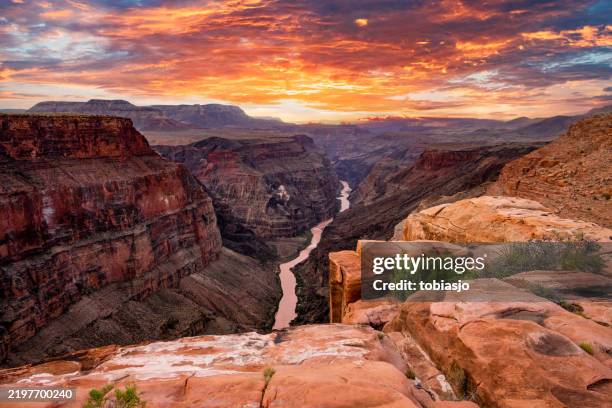 grand canyon toroweap si affaccia sull'alba - parco nazionale del grand canyon foto e immagini stock