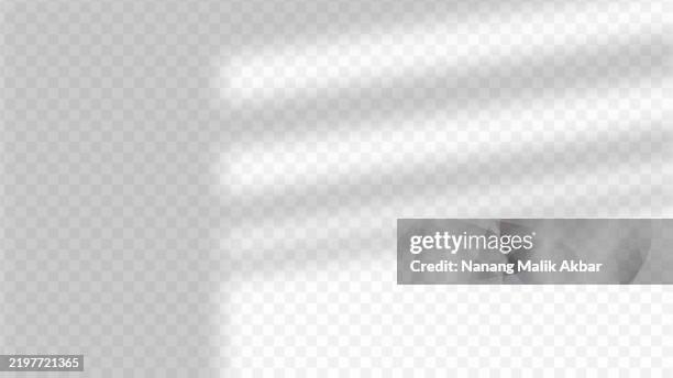 bildbanksillustrationer, clip art samt tecknat material och ikoner med shadow window on the wall with transparent background. shadow overlay effect mockup. - fönster