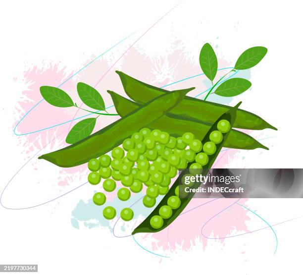 green peas - lined paper texture stock illustrations