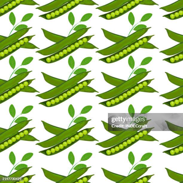 green peas seamless pattern - green plain studio background stock illustrations