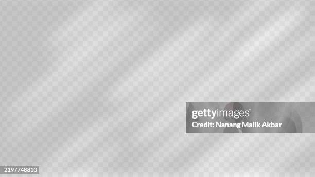 ilustraciones, imágenes clip art, dibujos animados e iconos de stock de sombra de árbol y hoja con fondo transparente. maqueta de efecto de superposición de sombras para plantilla de diseño. - fondo transparente