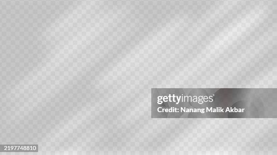 Tree and Leaf shadow with transparent background. Shadow overlay effect mockup for design template. Tree and Leaf shadow with transparent background. Shadow overlay effect mockup for design template.