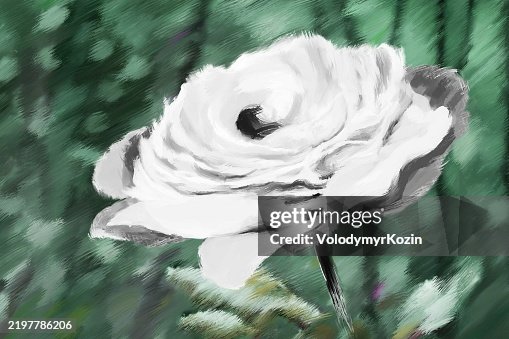 Blooming peony in horizontal format Blooming peony in horizontal format