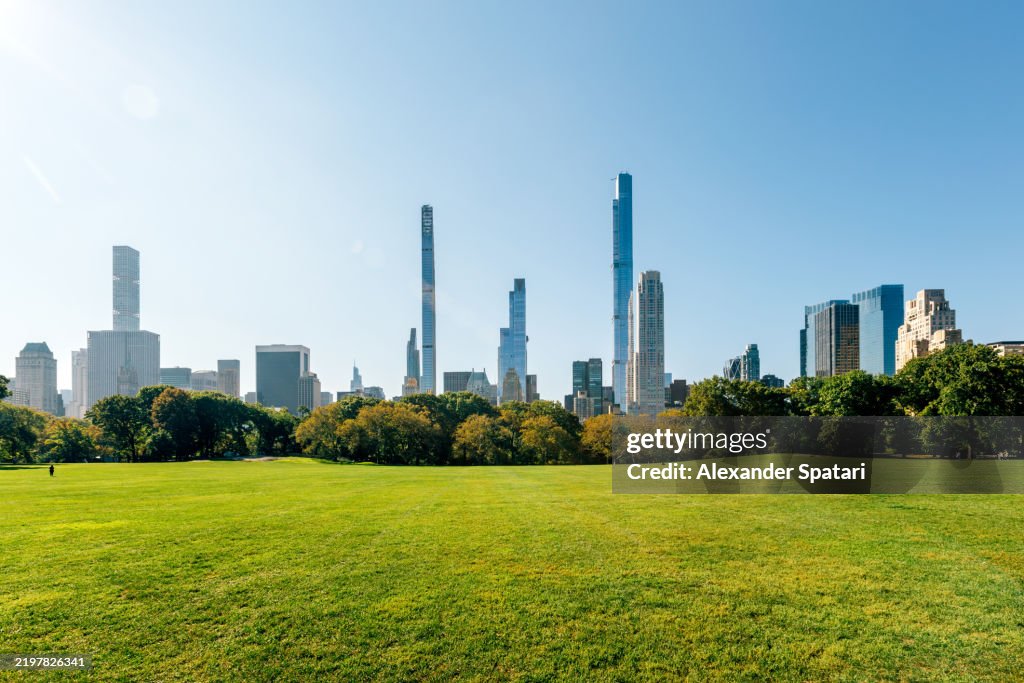Central Park and New York skyline on a sunny summer day, USA