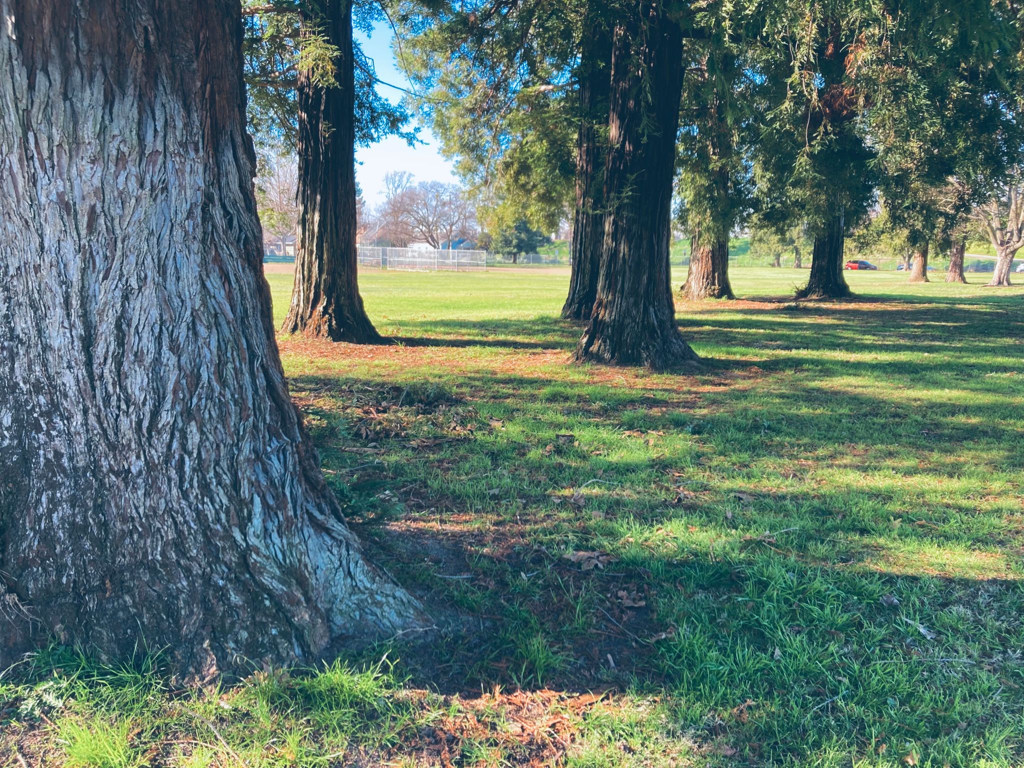 Wooster Grove
