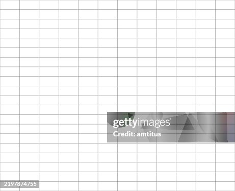Rectangular grid Rectangular grid