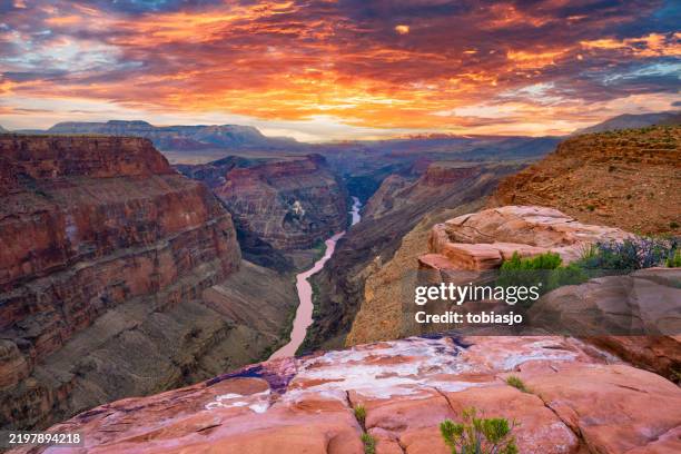 toroweap grand canyon rive nord coucher de soleil - parc national du grand canyon photos et images de collection