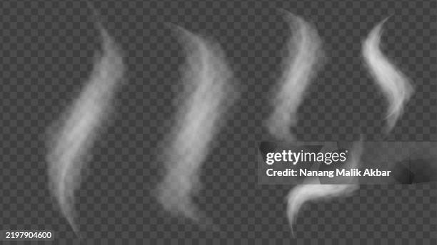 ilustraciones, imágenes clip art, dibujos animados e iconos de stock de humo blanco o nubes con fondo transparente - humo estructura física