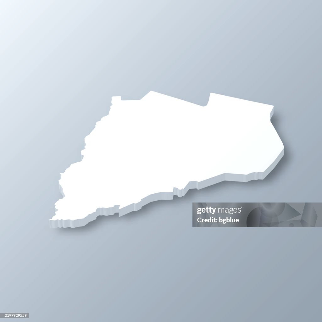 Otsego County, New York. 3D Map on gray background