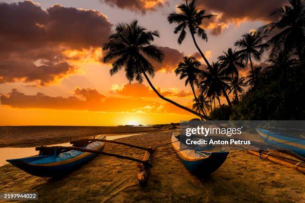 sunset on the tropical beach with fishing boat - sri lanka stock pictures, royalty-free photos & images