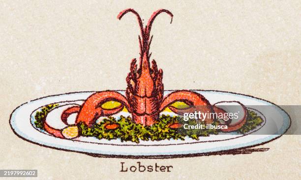 19th century recipes: fish and seafood, lobster - lobster restaurant stock illustrations