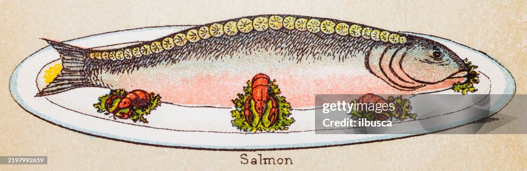 19th Century recipes: Fish and seafood, Salmon