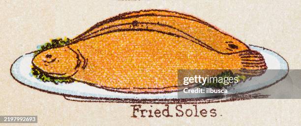 19th century recipes: fish and seafood, fried soles - outdoor dining stock illustrations