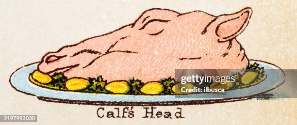 19th century recipes: meat, calf's head - beef calf stock illustrations