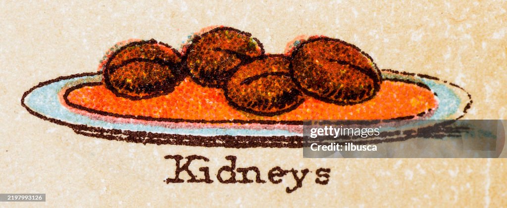19th Century recipes: Meat, Kidneys