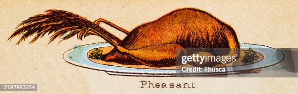 19th century recipes: meat, pheasant - roasted chicken stock illustrations