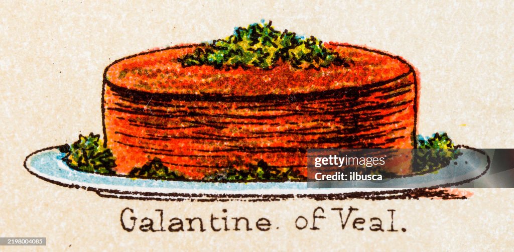 19th Century recipes: Galantine of Veal