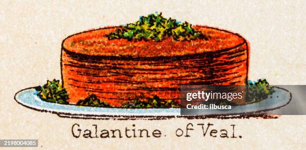 19th century recipes: galantine of veal - pate stock illustrations