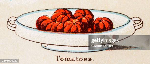 19th century recipes: vegetables, tomatoes - deli stock illustrations