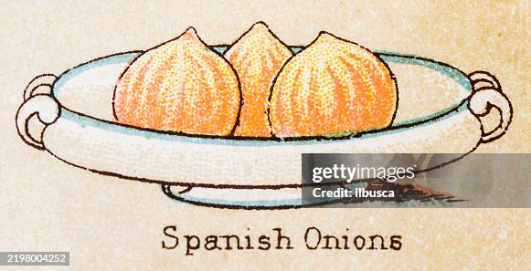 19th Century recipes: Vegetables, Spanish Onions 19th Century recipes: Vegetables, Spanish Onions