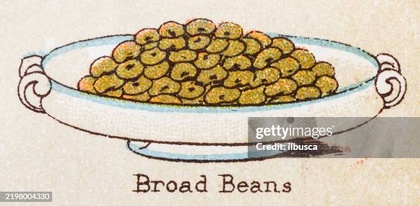 19th century recipes: vegetables, broad beans - beans stock illustrations