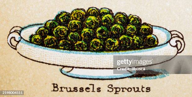 19th century recipes: vegetables, brussels sprouts - brussels sprouts stock illustrations
