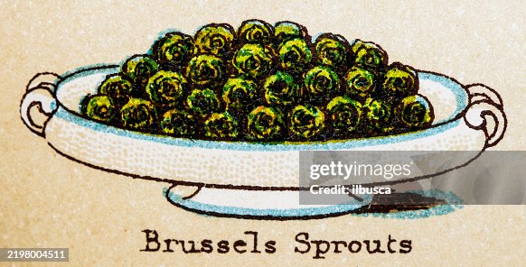 19th Century recipes: Vegetables, Brussels Sprouts 19th Century recipes: Vegetables, Brussels Sprouts