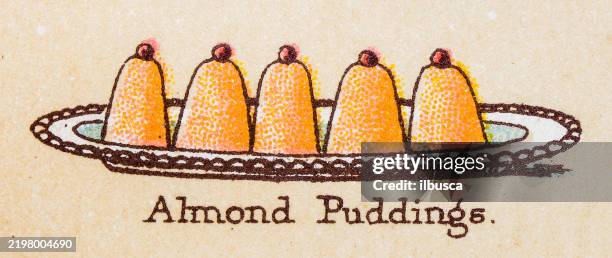19th century recipes: fruit and dessert, almond puddings - gelatin stock illustrations
