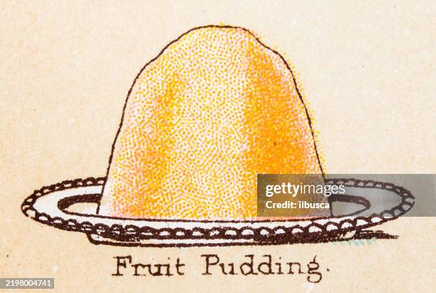 19th century recipes: fruit and dessert, fruit pudding - jello stock illustrations