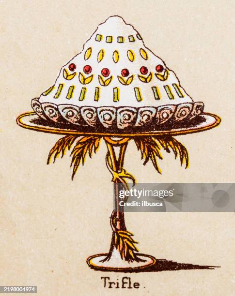 19th century recipes: fruit and dessert, trifle - trifle stock illustrations