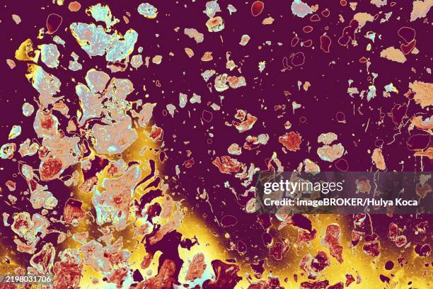 ebru marble conch effect surface pattern design for print - conch stock illustrations