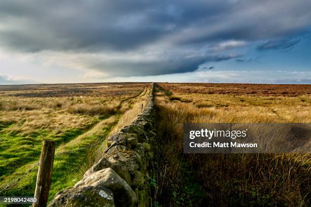 yorkshire moors. south yorkshire. england uk - 2018 stock pictures, royalty-free photos & images