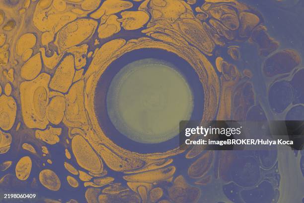 ebru marble conch effect surface pattern design for print - conch stock illustrations